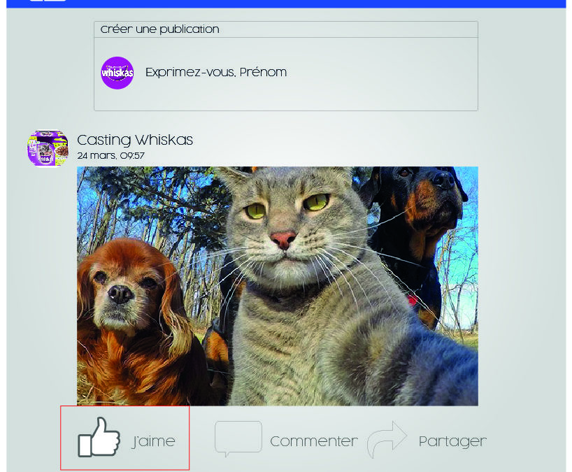 La mention « j’aime »